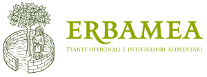 Erbamea